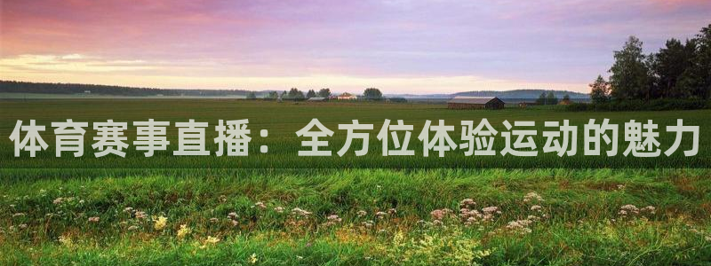 体育赛事直播：全方位体验运动的魅力
