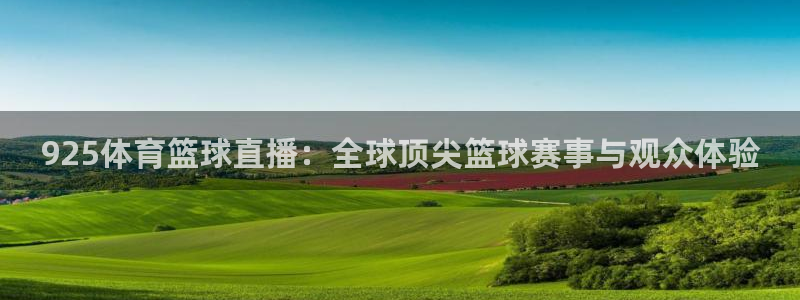 925体育篮球直播：全球顶尖篮球赛事与观众体验
