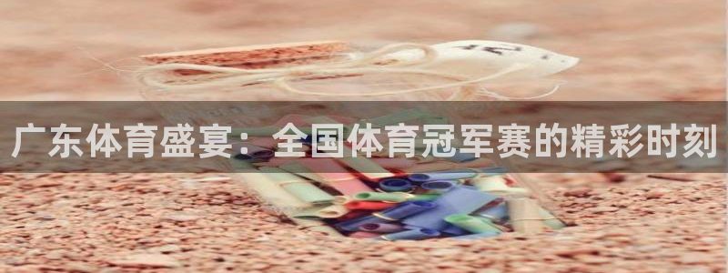 广东体育盛宴：全国体育冠军赛的精彩时刻