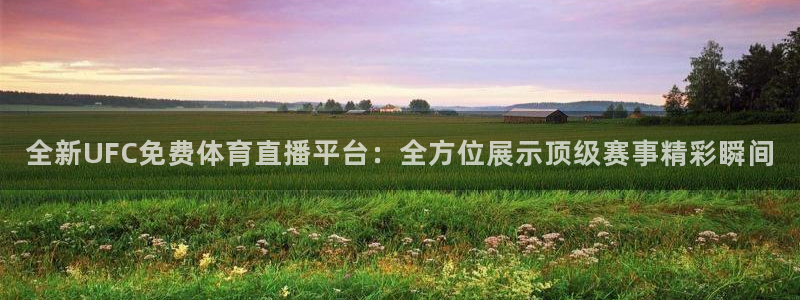 全新UFC免费体育直播平台：全方位展示顶级赛事精彩瞬间