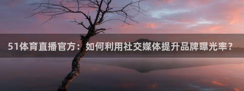 51体育直播官方：如何利用社交媒体提升品牌曝光率？