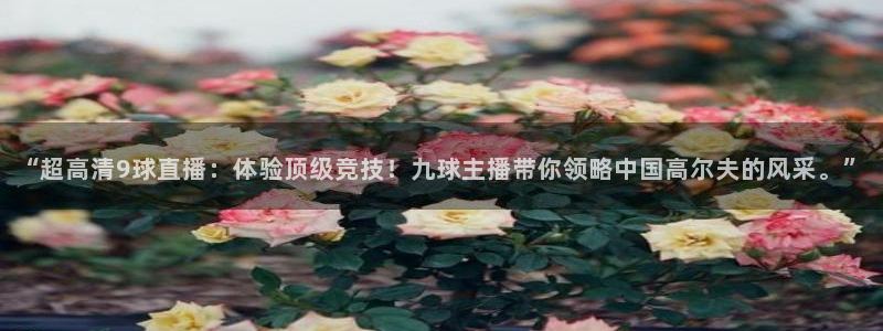 “超高清9球直播：体验顶级竞技！九球主播带你领略中国高尔夫的风采。”
