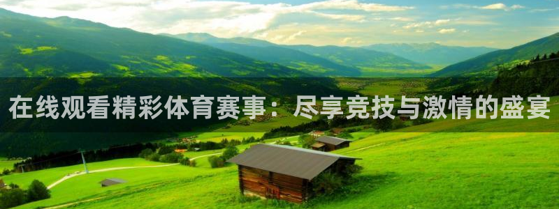 在线观看精彩体育赛事：尽享竞技与激情的盛宴