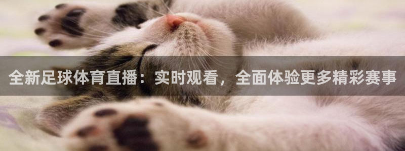 全新足球体育直播：实时观看，全面体验更多精彩赛事