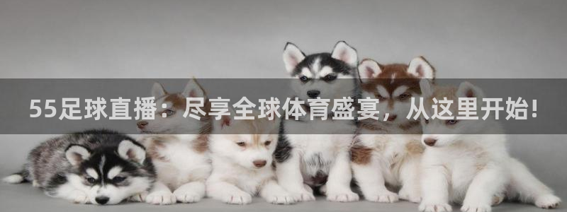 55足球直播：尽享全球体育盛宴，从这里开始!