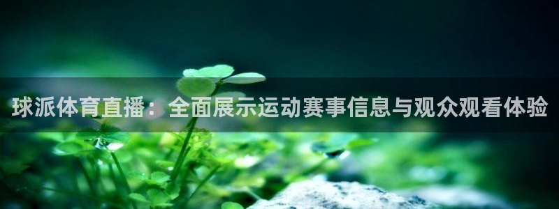 球派体育直播：全面展示运动赛事信息与观众观看体验