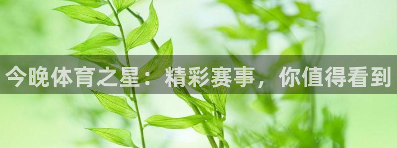 今晚体育之星：精彩赛事，你值得看到