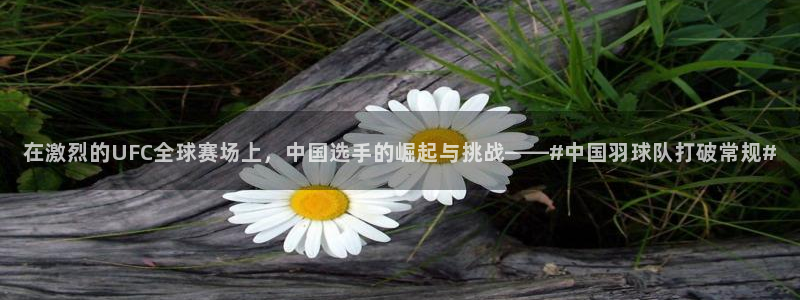 在激烈的UFC全球赛场上，中国选手的崛起与挑战——#中国羽球队打破常规#