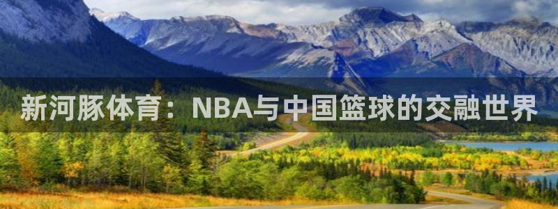 新河豚体育：NBA与中国篮球的交融世界