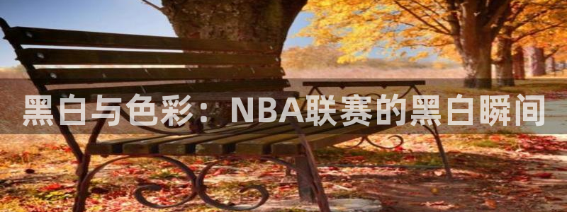 黑白与色彩：NBA联赛的黑白瞬间