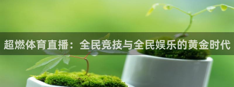 超燃体育直播：全民竞技与全民娱乐的黄金时代