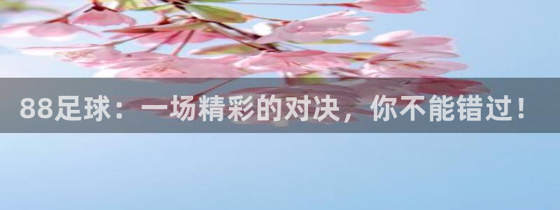 88足球：一场精彩的对决，你不能错过！