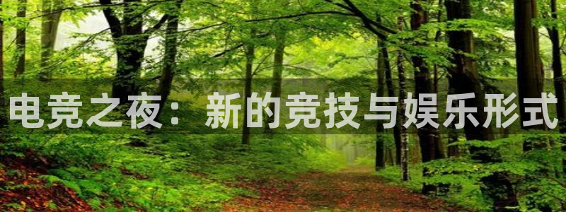 电竞之夜：新的竞技与娱乐形式