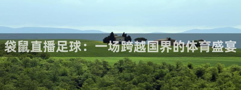 袋鼠直播足球：一场跨越国界的体育盛宴