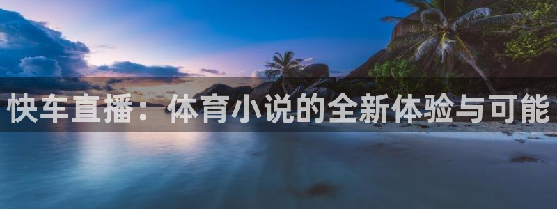 快车直播：体育小说的全新体验与可能