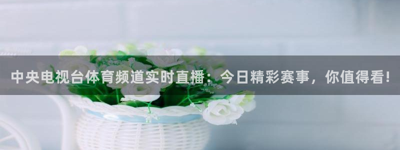 中央电视台体育频道实时直播：今日精彩赛事，你值得看!