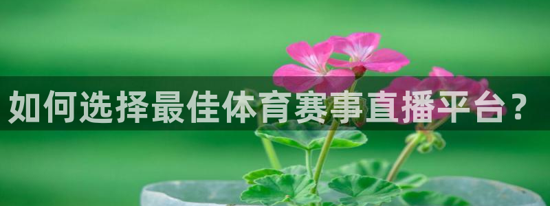 如何选择最佳体育赛事直播平台？