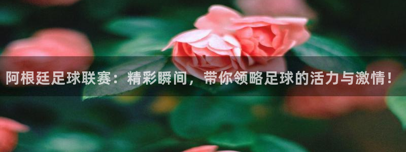 阿根廷足球联赛：精彩瞬间，带你领略足球的活力与激情！