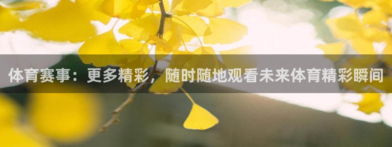 体育赛事：更多精彩，随时随地观看未来体育精彩瞬间