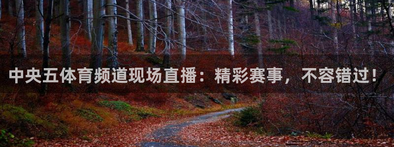 中央五体育频道现场直播：精彩赛事，不容错过！