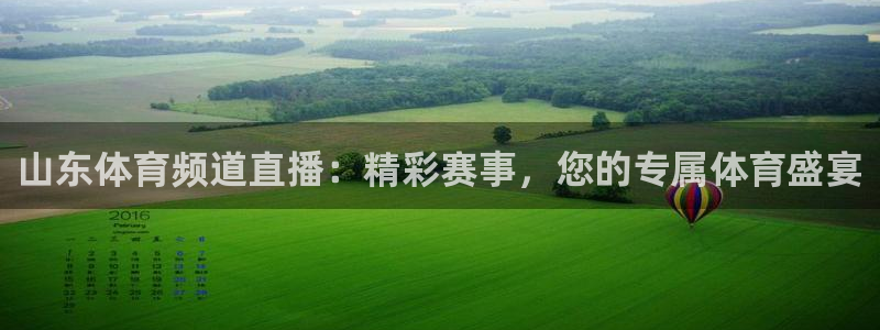 山东体育频道直播：精彩赛事，您的专属体育盛宴