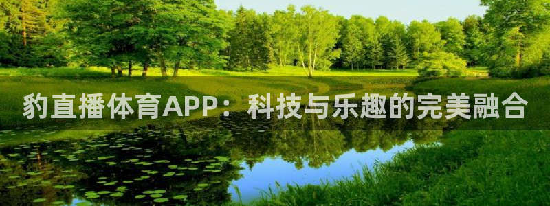 豹直播体育APP：科技与乐趣的完美融合