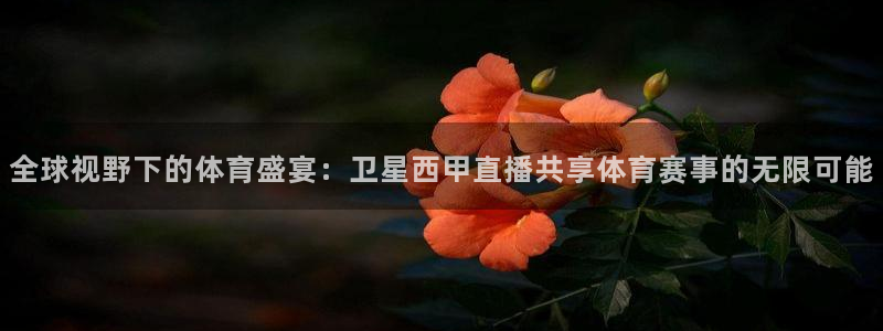 全球视野下的体育盛宴：卫星西甲直播共享体育赛事的无限可能