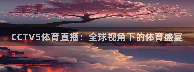 CCTV5体育直播：全球视角下的体育盛宴