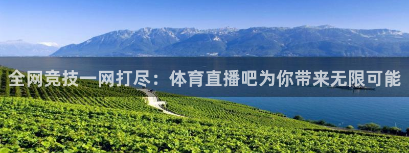 全网竞技一网打尽：体育直播吧为你带来无限可能