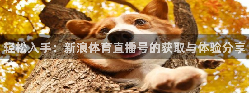 轻松入手：新浪体育直播号的获取与体验分享