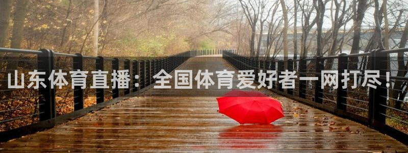 山东体育直播：全国体育爱好者一网打尽！