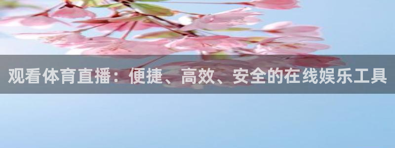 观看体育直播：便捷、高效、安全的在线娱乐工具