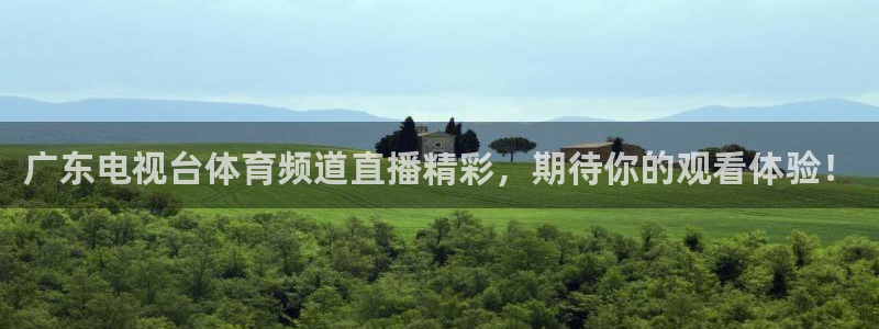 广东电视台体育频道直播精彩，期待你的观看体验！