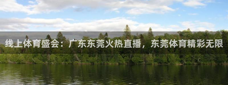 线上体育盛会：广东东莞火热直播，东莞体育精彩无限