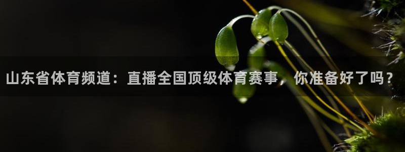 山东省体育频道：直播全国顶级体育赛事，你准备好了吗？