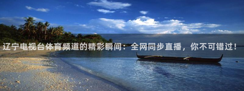 辽宁电视台体育频道的精彩瞬间：全网同步直播，你不可错过！