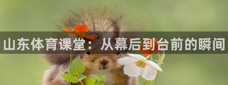 山东体育课堂：从幕后到台前的瞬间
