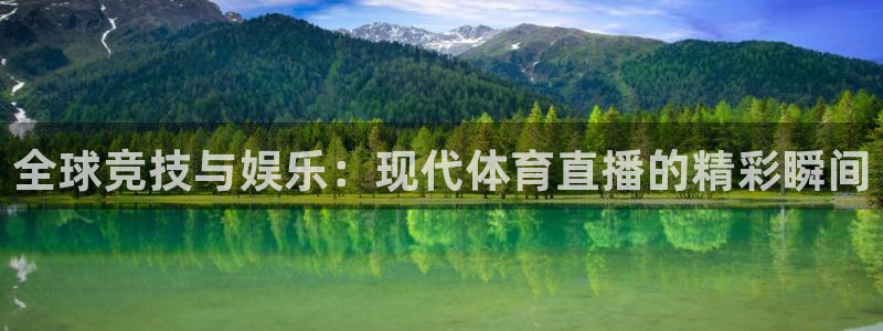 全球竞技与娱乐：现代体育直播的精彩瞬间