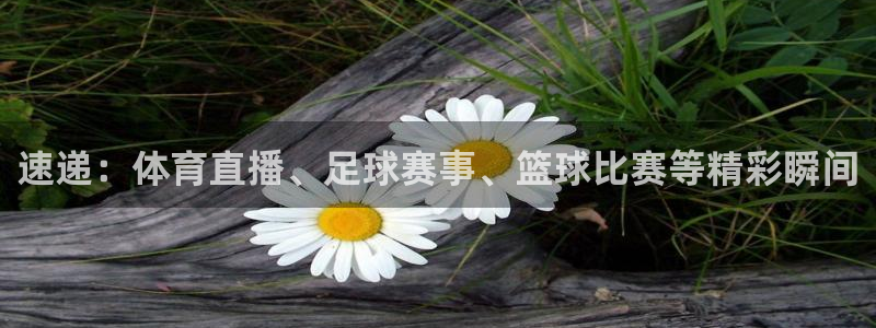 速递：体育直播、足球赛事、篮球比赛等精彩瞬间