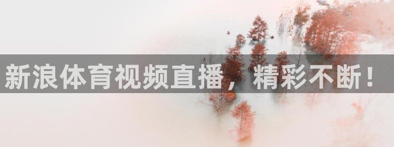 新浪体育视频直播，精彩不断！