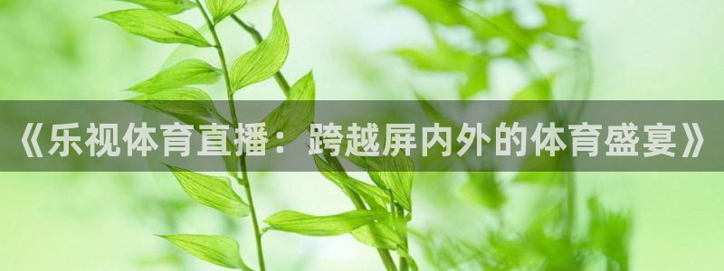 《乐视体育直播：跨越屏内外的体育盛宴》