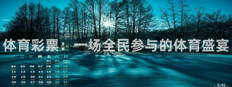 体育彩票：一场全民参与的体育盛宴