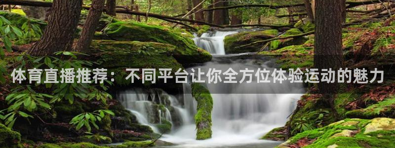 体育直播推荐：不同平台让你全方位体验运动的魅力