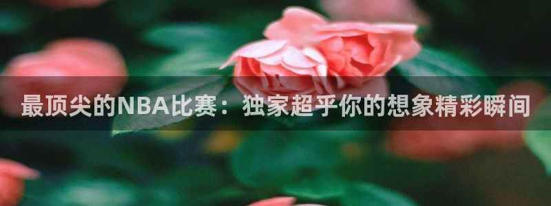 最顶尖的NBA比赛：独家超乎你的想象精彩瞬间