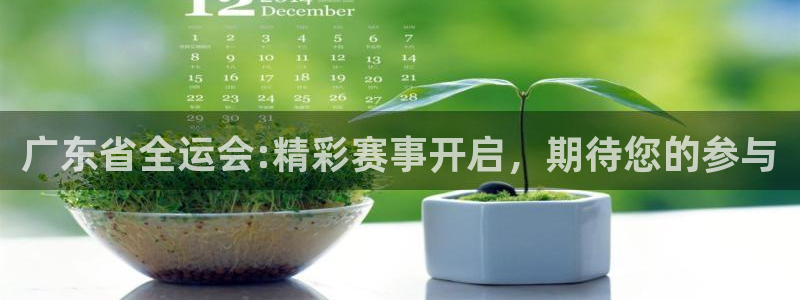 广东省全运会:精彩赛事开启，期待您的参与