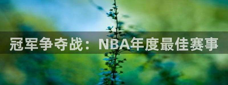 冠军争夺战：NBA年度最佳赛事