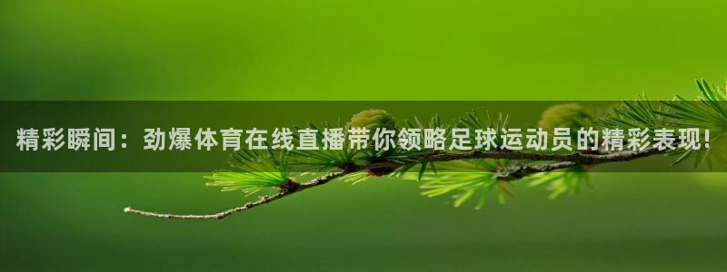 精彩瞬间：劲爆体育在线直播带你领略足球运动员的精彩表现!